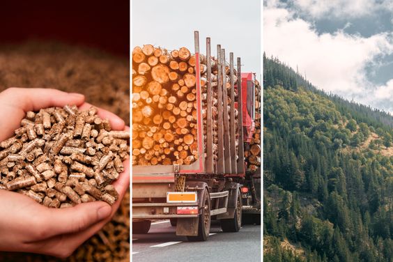 Biomass Briquettes 3